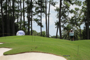 2015 Amateur Championship 094.JPG